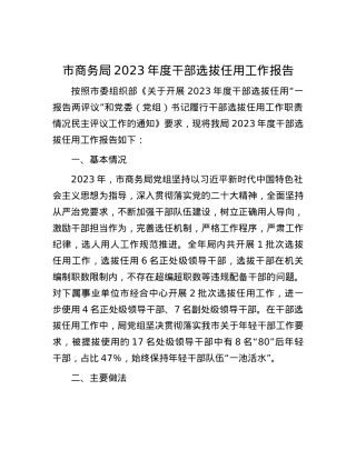 市商务局2023年度干部选拔任用工作报告.docx