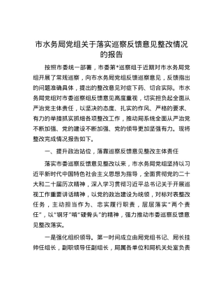 市水务局党组关于落实巡察反馈意见整改情况的报告.docx