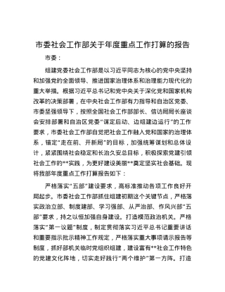 市委社会工作部关于年度重点工作打算的报告.docx