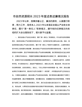 市自然资源局长2023年度述责述廉情况报告.docx