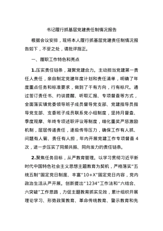 书记履行抓基层党建责任制情况报告.docx