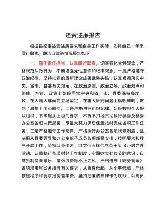 述责述廉报告 (3).docx