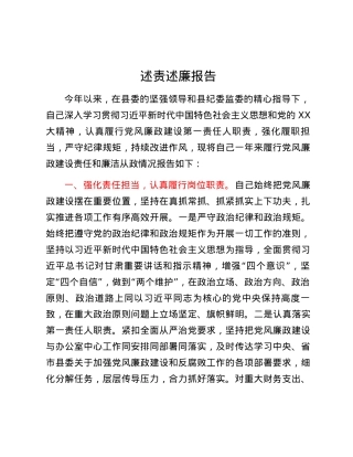 述责述廉报告 (4).docx