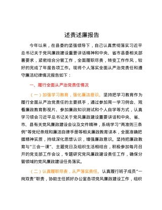 述责述廉报告 (5).docx