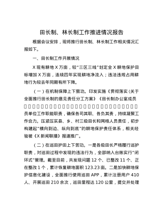 田长制、林长制工作推进情况报告.docx