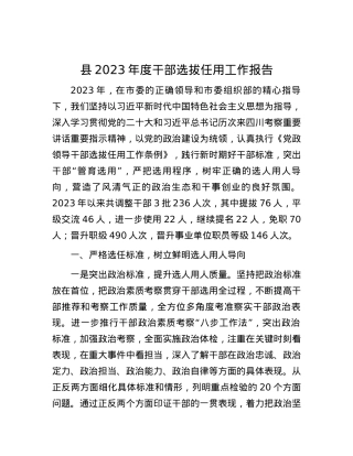 县2023年度干部选拔任用工作报告.docx