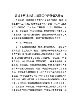县城乡环境综合大整治工作开展情况报告.docx
