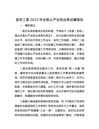 县党工委2023年全面从严治党述责述廉报告.docx