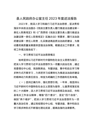 县人民政府办公室主任2023年度述法报告.docx
