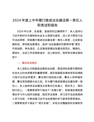 乡镇党委书记2024年度上半年履行推进法治建设第一责任人职责述职报告.docx