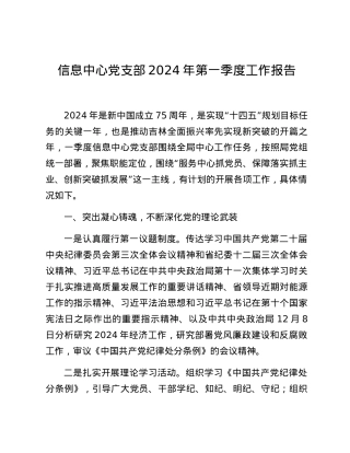 信息中心党支部2024年第一季度工作报告.docx