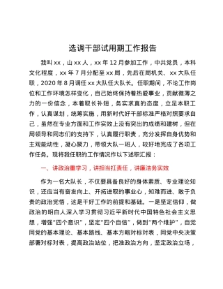 选调干部试用期工作报告.docx