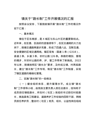 镇关于“路长制”工作开展情况的汇报.docx
