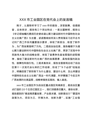 XXX市工业园区在党代会上的发言稿.docx