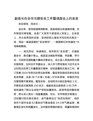 副县长在全市汛期安全工作暨调度会上的发言.docx