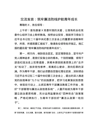 交流发言：筑牢廉洁防线护航青年成长.docx