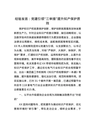 经验发言：党建引领“三举措”提升知产保护质效.docx