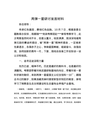 两弹一星研讨发言材料.docx