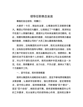 领导任职表态发言.docx