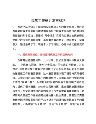 民族工作研讨发言材料.docx