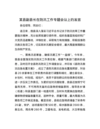 某县副县长在防汛工作专题会议上的发言.docx