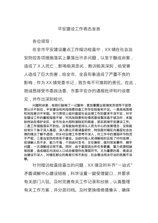 平安建设工作表态发言.docx