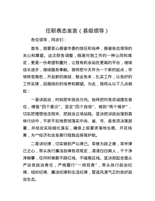 任职表态发言（县级领导）.docx