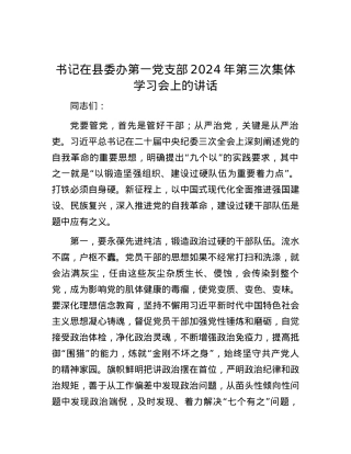 书记在县委办第一党支部2024年第三次集体学习会上的讲话.docx