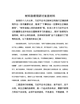 树牢政绩观研讨发言材料.docx