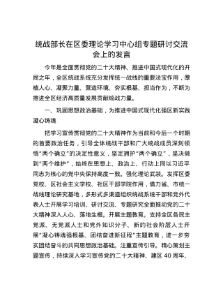 统战部长在区委理论学习中心组专题研讨交流会上的发言.docx
