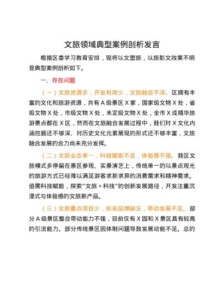 文旅领域典型案例剖析发言.docx