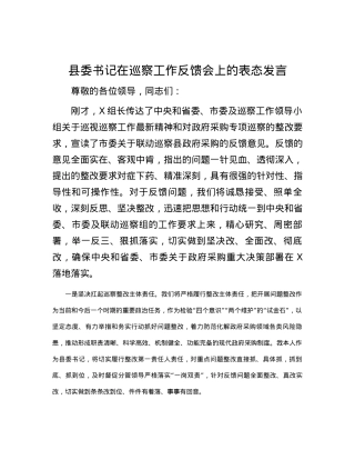 县委书记在巡察工作反馈会上的表态发言.docx