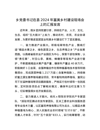 乡党委书记在县2024年富美乡村建设现场会上的汇报发言.docx