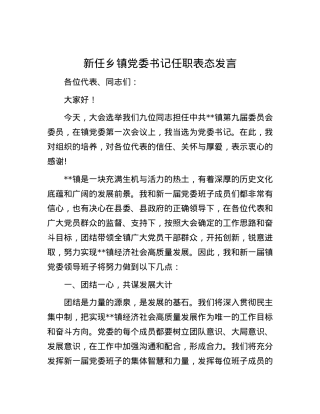 新任乡镇党委书记任职表态发言.docx