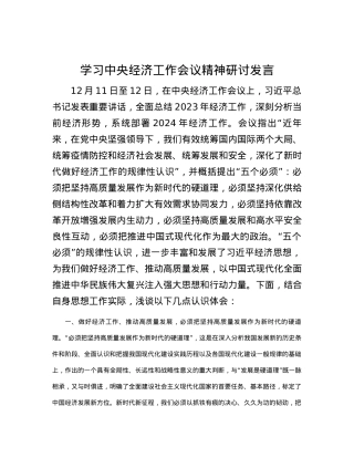 学习中央经济工作会议精神研讨发言.docx