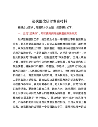 巡视整改研讨发言材料.docx