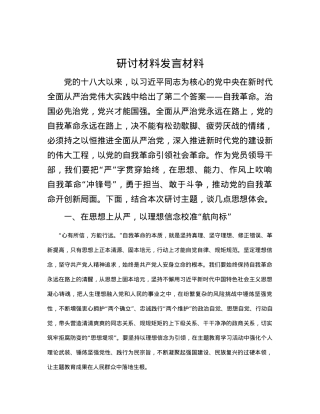 研讨材料发言材料.docx