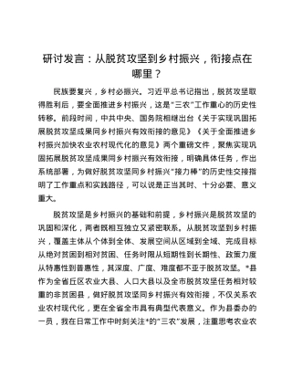 研讨发言：从脱贫攻坚到乡村振兴，衔接点在哪里？.docx