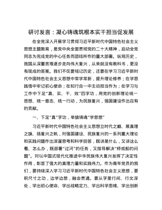 研讨发言：凝心铸魂筑根本 实干担当促发展.docx