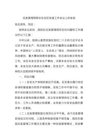 应急管理局局长在全区务虚工作会议上的发言.docx