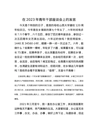 在2023年青年干部座谈会上的发言.docx
