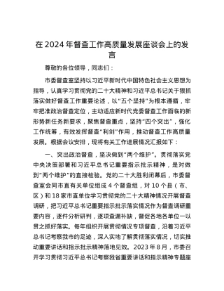 在2024年督查工作高质量发展座谈会上的发言.docx