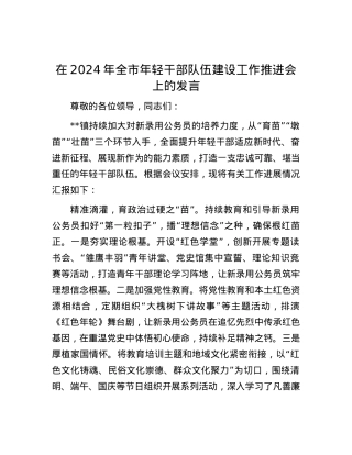 在2024年全市年轻干部队伍建设工作推进会上的发言.docx