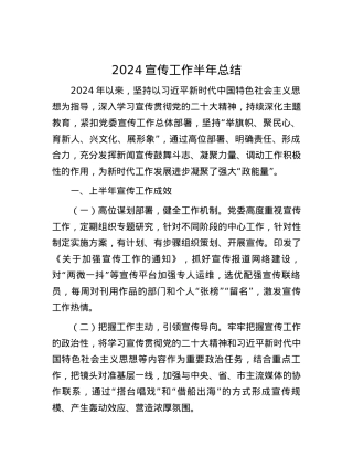 2024宣传工作半年总结.docx