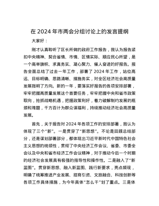 在2024年市两会分组讨论上的发言提纲.docx