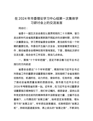 在2024年市委理论学习中心组第一次集体学习研讨会上的交流发言.docx