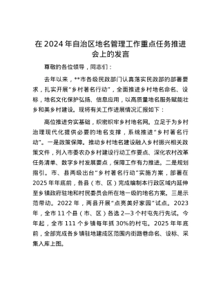 在2024年自治区地名管理工作重点任务推进会上的发言.docx
