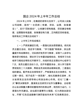 国企2024年上半年工作总结.docx