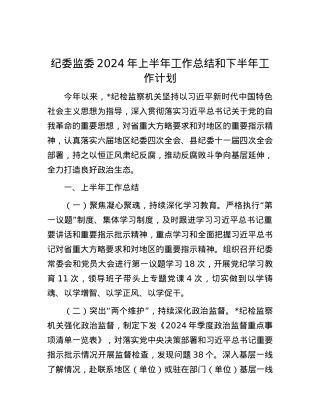 纪委监委2024年上半年工作总结和下半年工作计划.docx