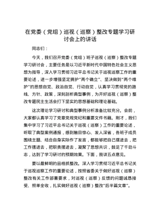 在党委（党组）巡视（巡察）整改专题学习研讨会上的讲话.docx